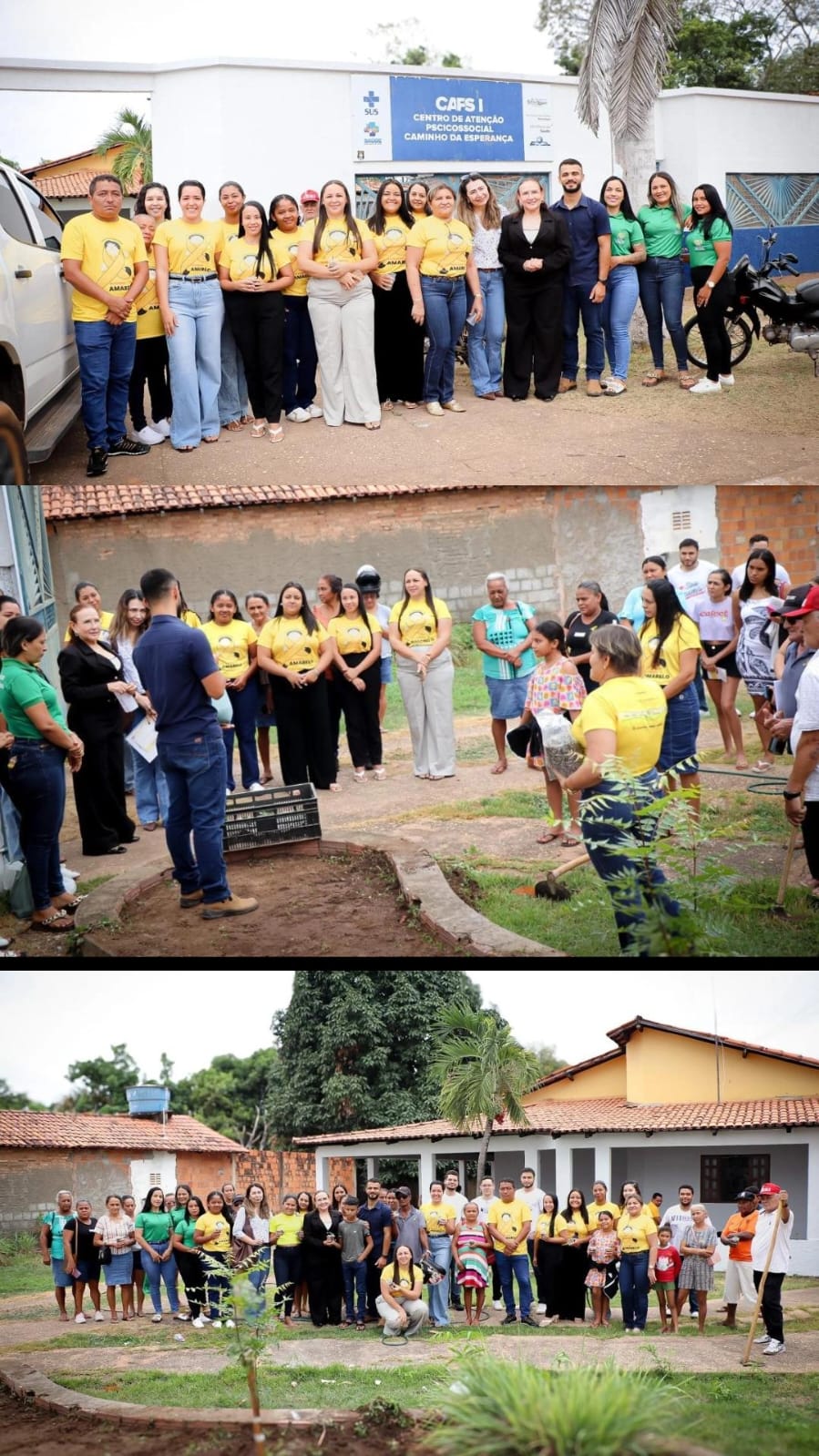 Plantio de sementes de Girassol