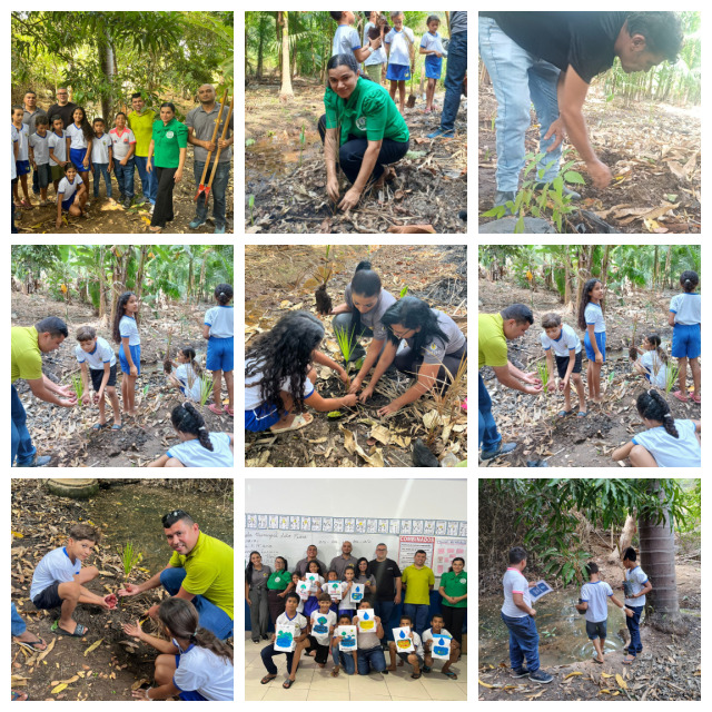 Projeto Ambiental - Recuperação de córregos no povoado São Pedro